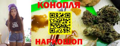 прущие грибы Изобильный