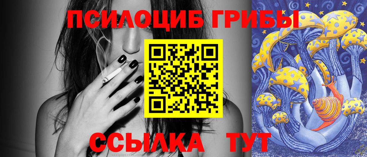 Щёлково  Псилоцибиновые грибы прущие грибы  Вход с VPN 